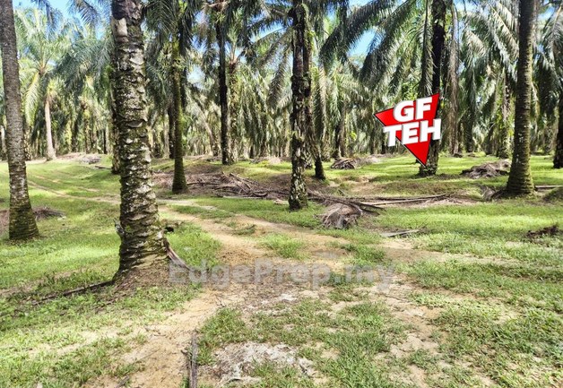 Pekan Selama