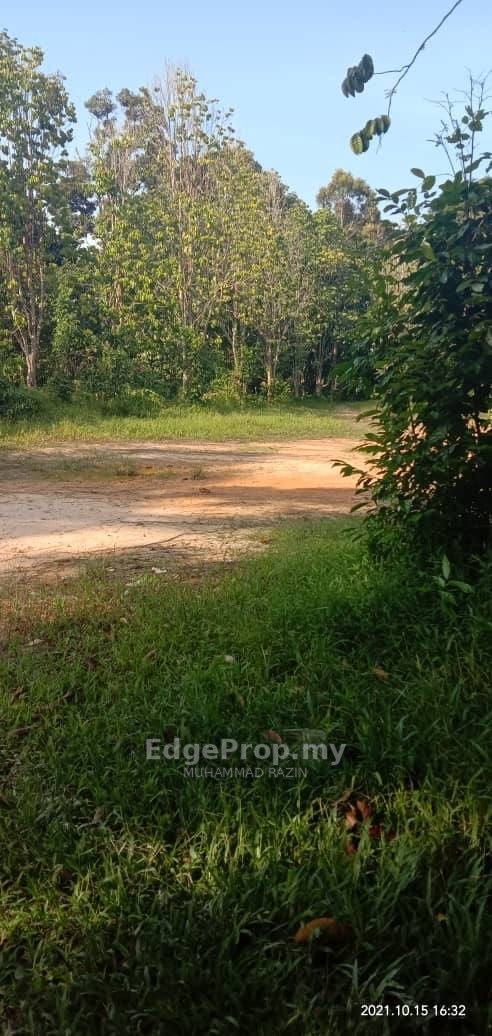 Land lot For Sale | Kg Banggol Katong, Terangganu, Terengganu, Kuala Terengganu