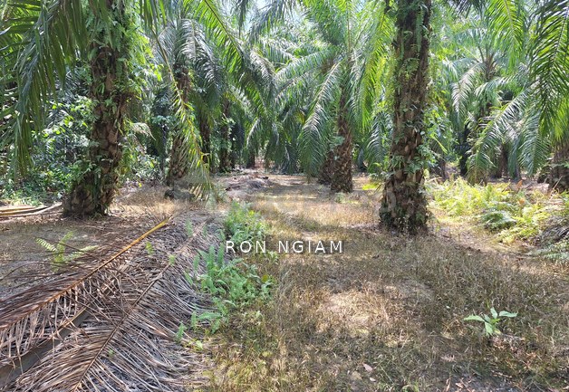Telok Panglima Garang