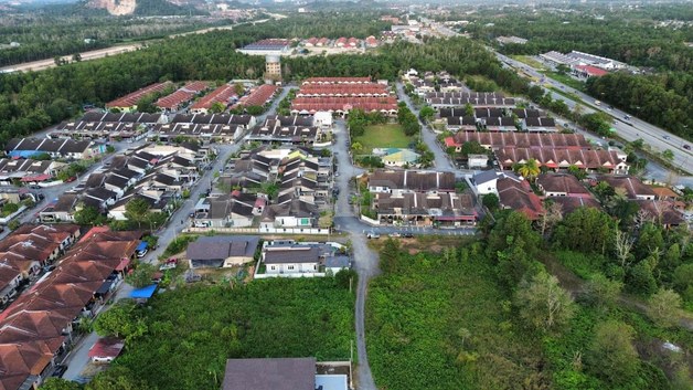 PANDAN DAMAI