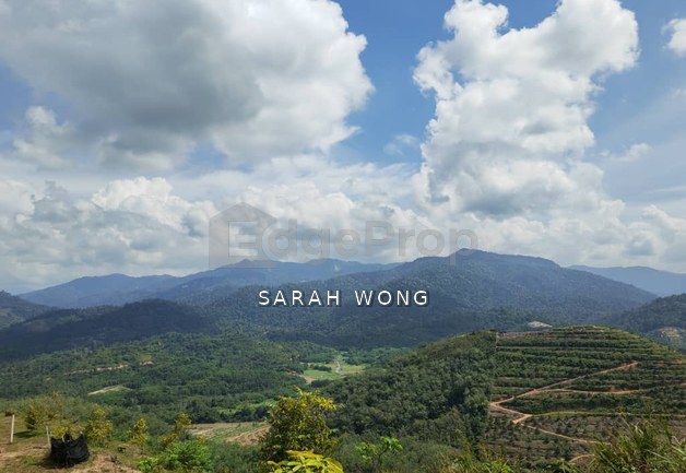 Freehold Agricultural Land @ Karak, Bentong (Water, Electricity, Tar Road with drainage DONE)