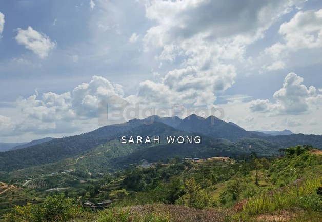 Freehold Agricultural Land @ Karak, Bentong (Water, Electricity, Tar Road with drainage DONE)
