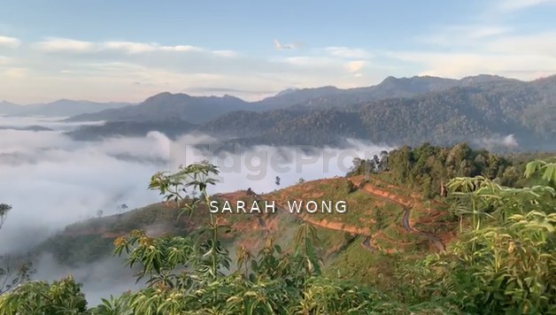 Freehold Agricultural Land @ Karak, Bentong (Water, Electricity, Tar Road with drainage DONE)