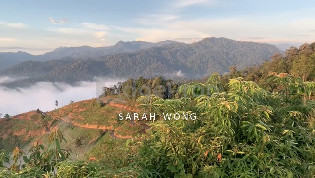 Freehold Agricultural Land @ Karak, Bentong (Water, Electricity, Tar Road with drainage DONE)
