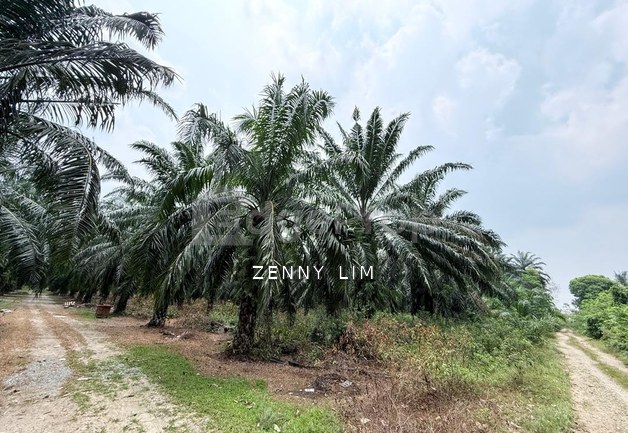 Sungai Kandis