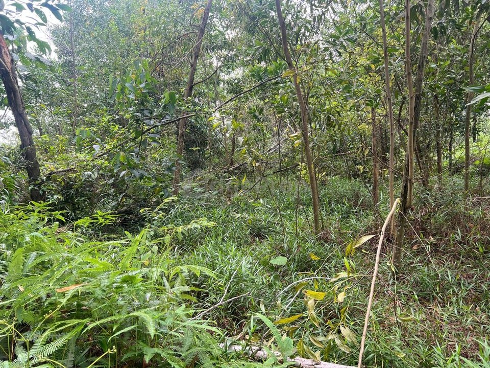 RARE Hilltop Bungalow Land @ Rasah Kemayan | Panoramic Seremban View | Freehold, Negeri Sembilan, Seremban