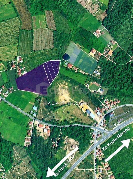 TANAH LUAS DI KUALA NERANG PADANG TERAP, Kedah, Padang Terap