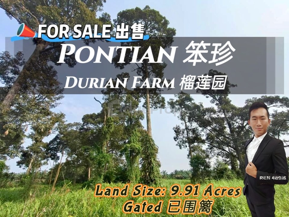 Pontian Besar