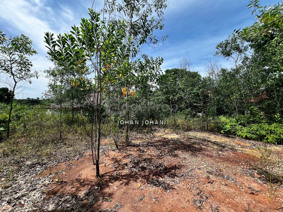 Mahkota Hills Bandar Tasik Senangin CHEAPEST Bungalow Lot for sale, Negeri Sembilan, Lenggeng