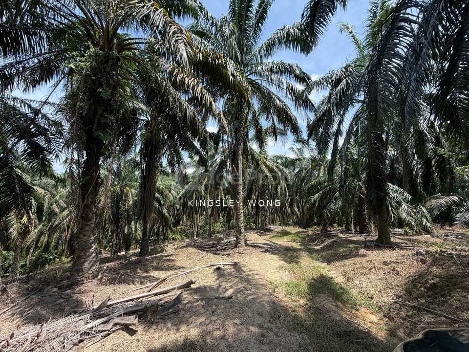 Sungai Siput