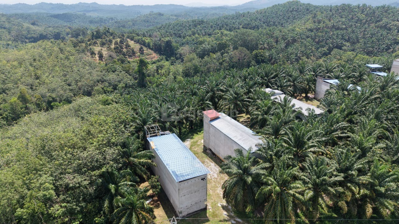 Kuala Lipis