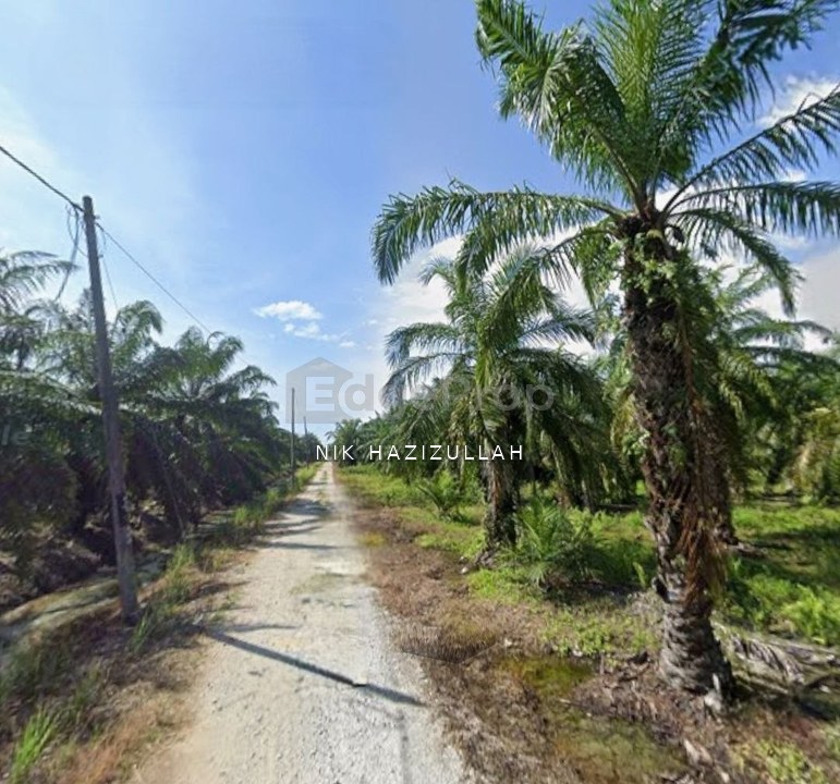 KUALA SELANGOR