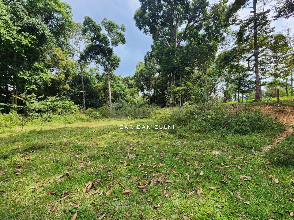 Janda Baik