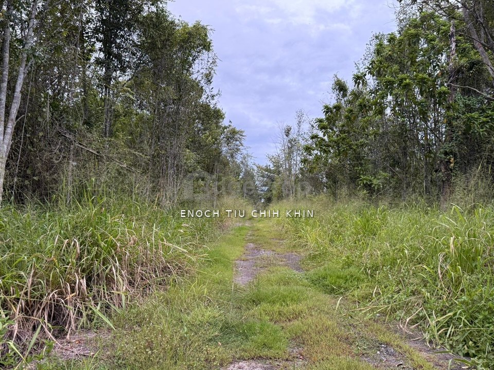 35 Acres Freehold Development Land | Main Road Frontage | Jitra, Kedah
