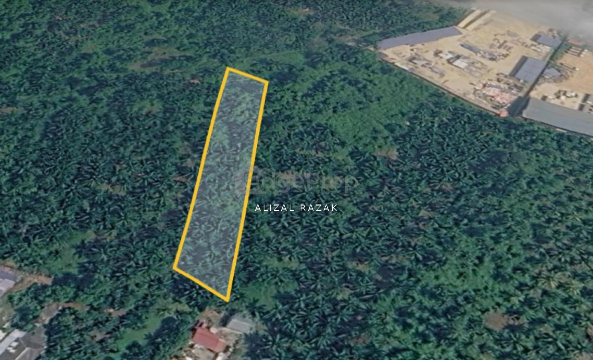 [Tanah Pertanian 1 ekar Zoning Perumahan] Kg Perepat @ Kapar Klang - ada tanaman sawit, Selangor, Kapar 