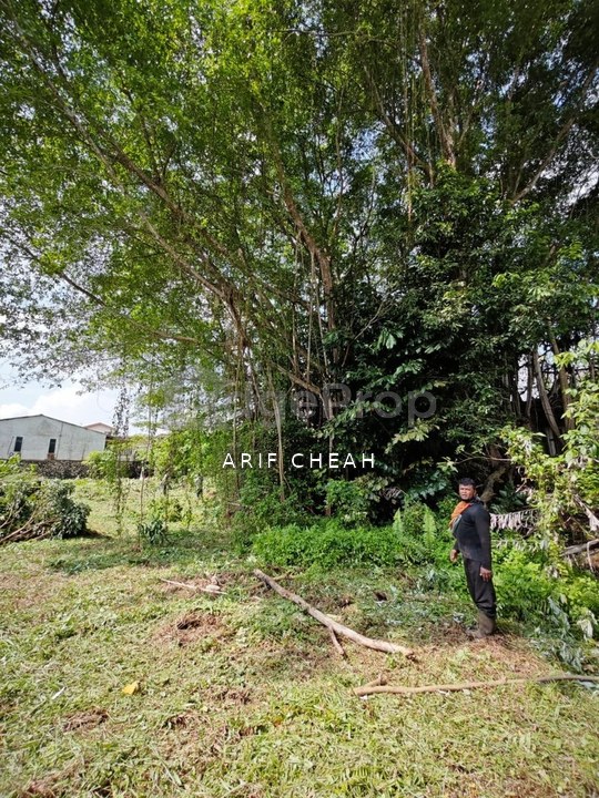 Freehold International Lot Land For Sale In Kempas Baru, Johor, Johor Bahru