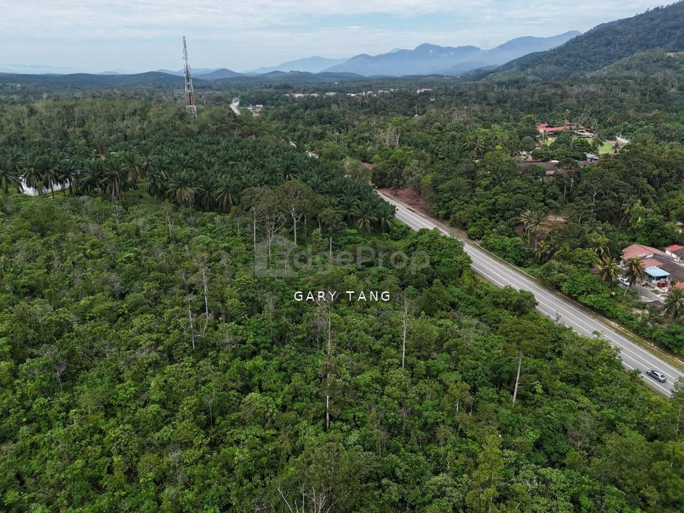 sauk kuala kangsar perak, agri land for sales, freehold, Perak, Kuala Kangsar