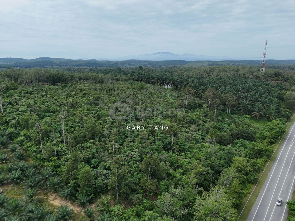 sauk kuala kangsar perak, agri land for sales, freehold, Perak, Kuala Kangsar