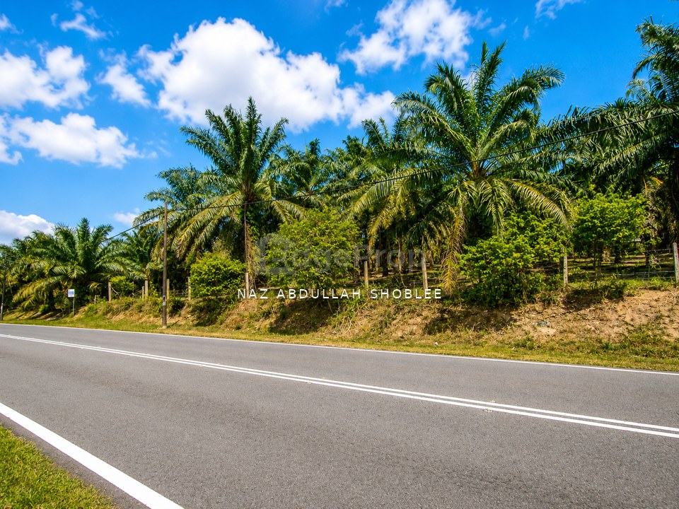 Bukit Bakri Muar Freehold Land 5.178 Acres - Residential Zone Main Road Frontage