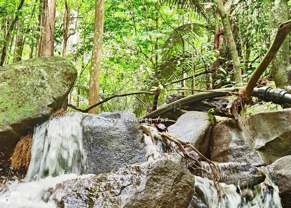 TANARIMBA
