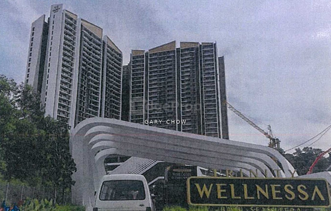 Trinity Wellnessa Condominium