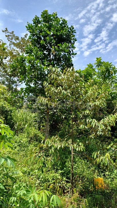 Taman Senawang Jaya