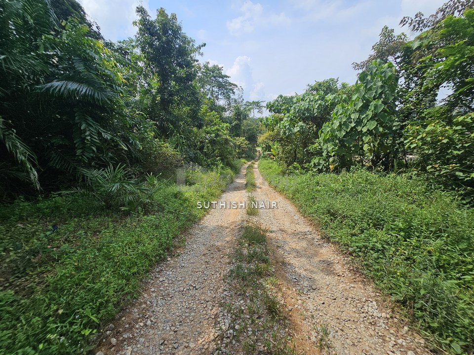 Oil Palm 10 Acre Nearby to Main Road Johol