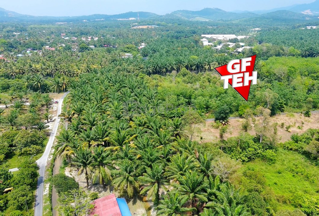 Bukit Teh