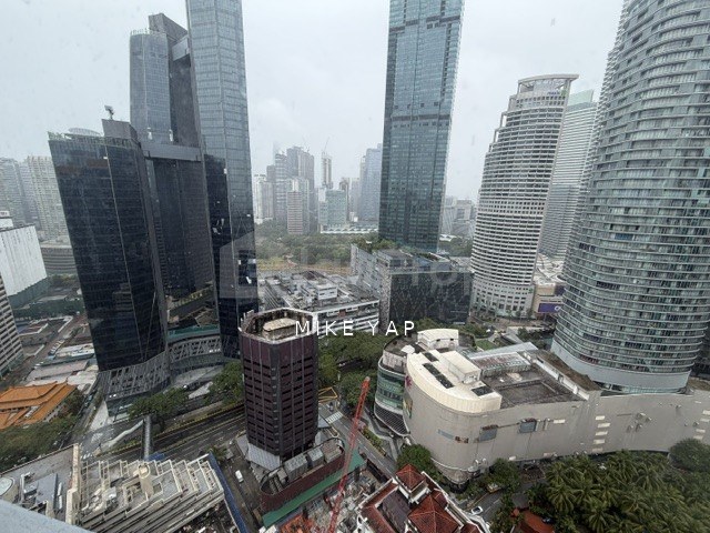 The Panorama