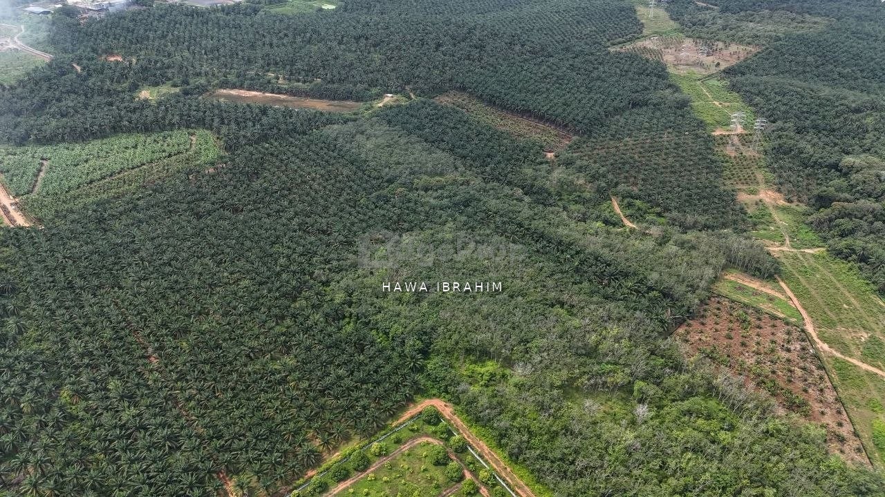Linggi Port Dickson Negeri Sembilan 2 Acres Agriculture Land For Sale, Negeri Sembilan, Port Dickson