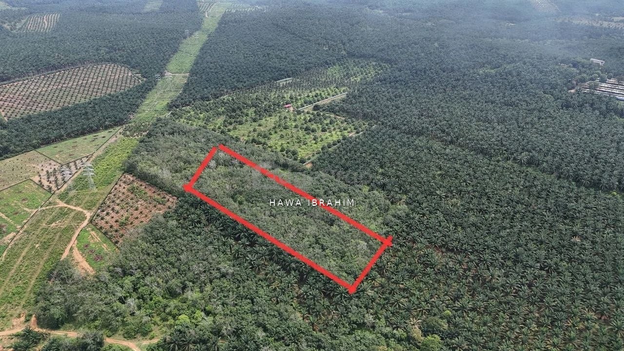 Linggi Port Dickson Negeri Sembilan 2 Acres Agriculture Land For Sale, Negeri Sembilan, Port Dickson