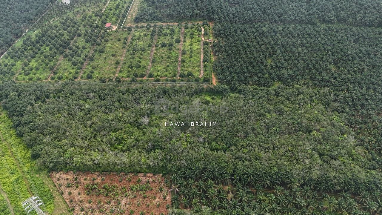 Linggi Port Dickson Negeri Sembilan 2 Acres Agriculture Land For Sale, Negeri Sembilan, Port Dickson