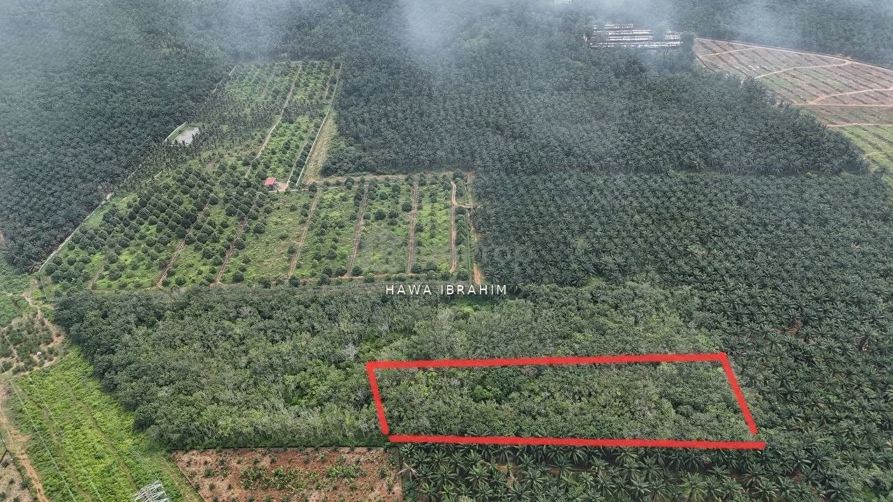 Linggi Port Dickson Negeri Sembilan 2 Acres Agriculture Land For Sale, Negeri Sembilan, Port Dickson