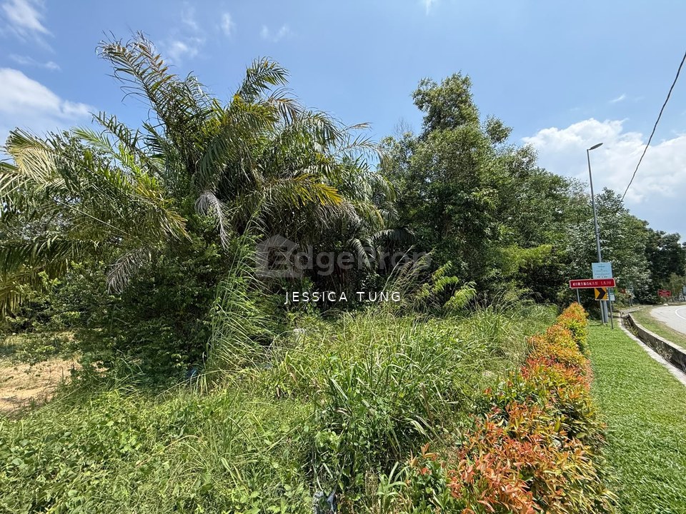 Kampung Baru Broga