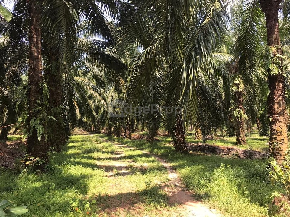 Kawasan Perusahaan Telok Mengkuang