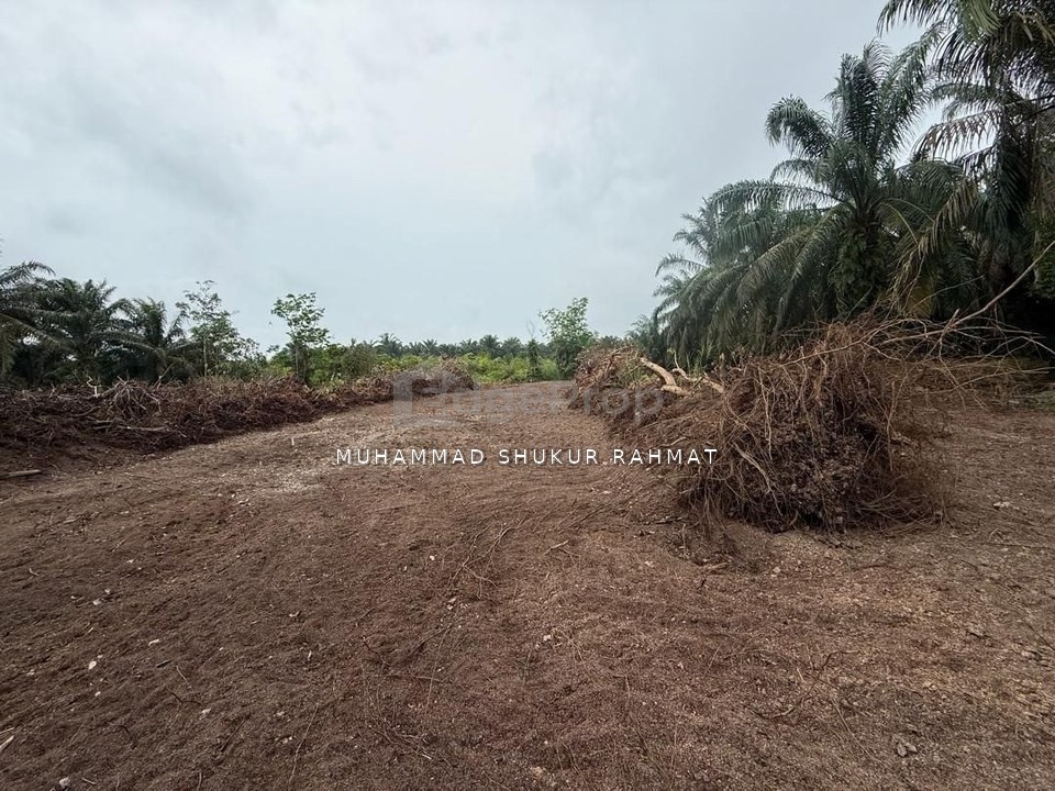 Parit Salleh Hj Khairon Ayer Hitam Tanah Lot For Sale , Johor, Ayer Hitam