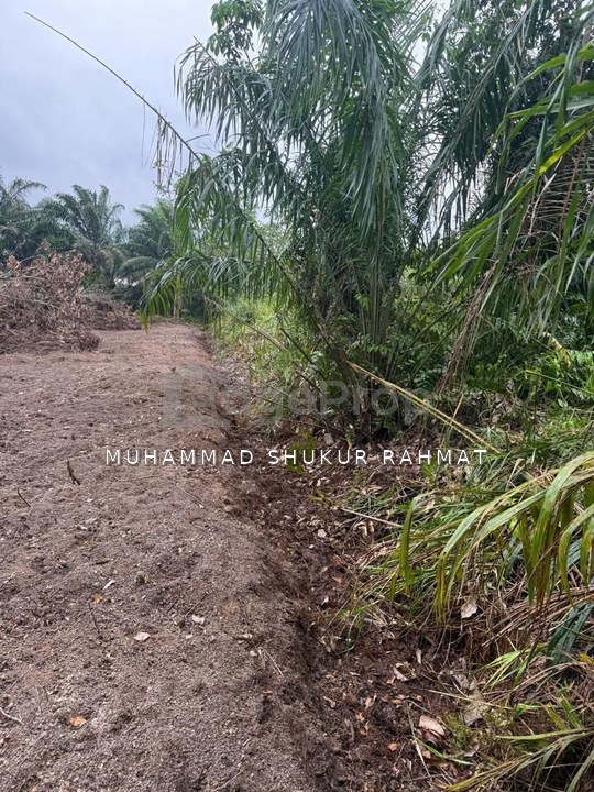 Parit Salleh Hj Khairon Ayer Hitam Tanah Lot For Sale , Johor, Ayer Hitam