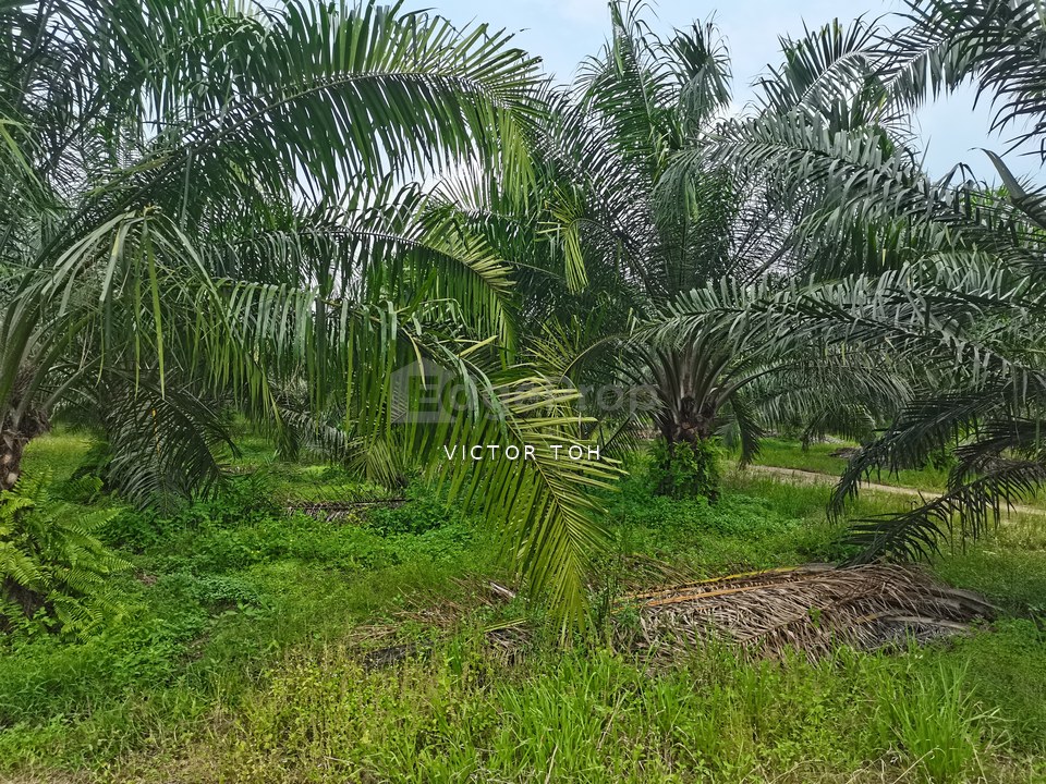 Jalan Pulau Meranti