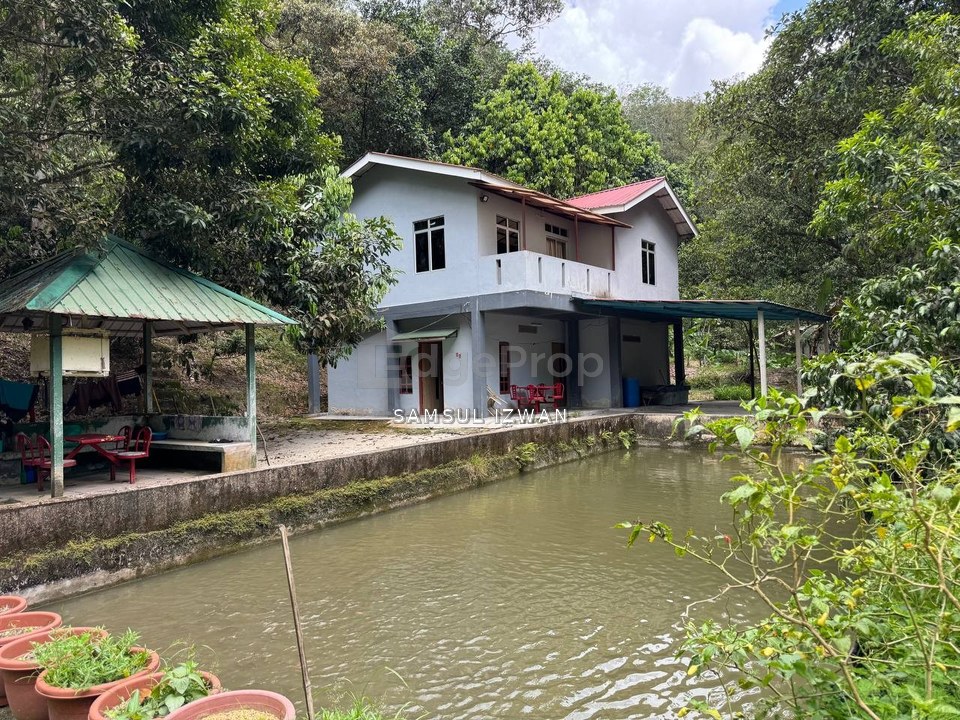 Dusun Tua, Batu 17