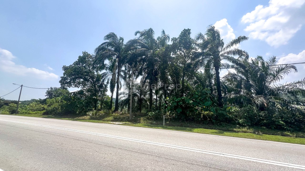 Kampung Bukit Kapar