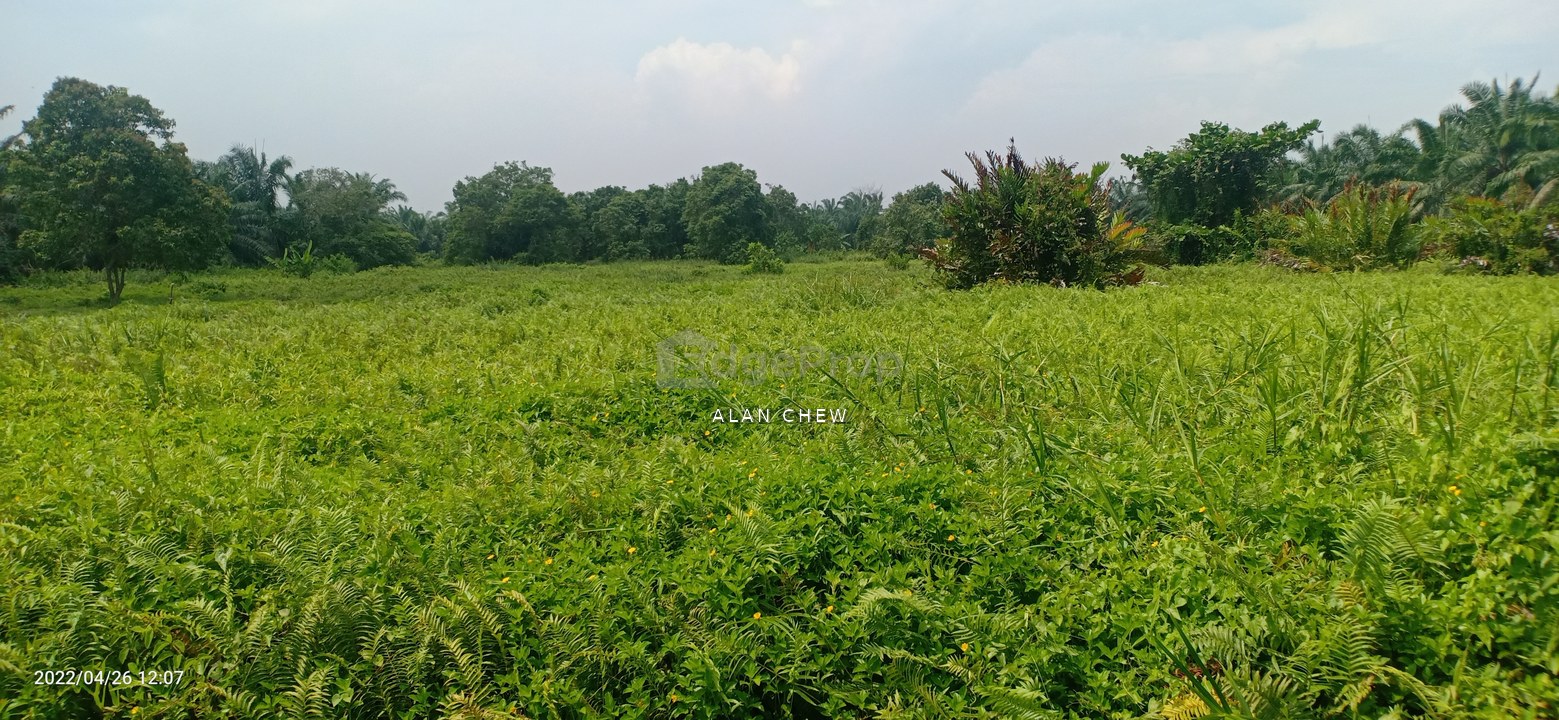 Kampung Api Api