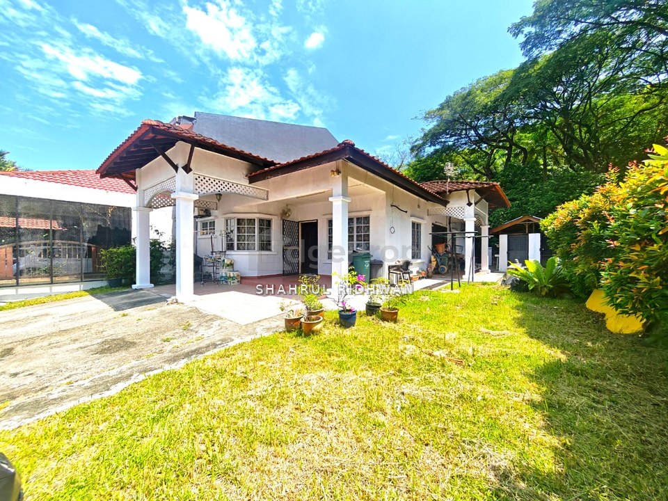 Damai Murni