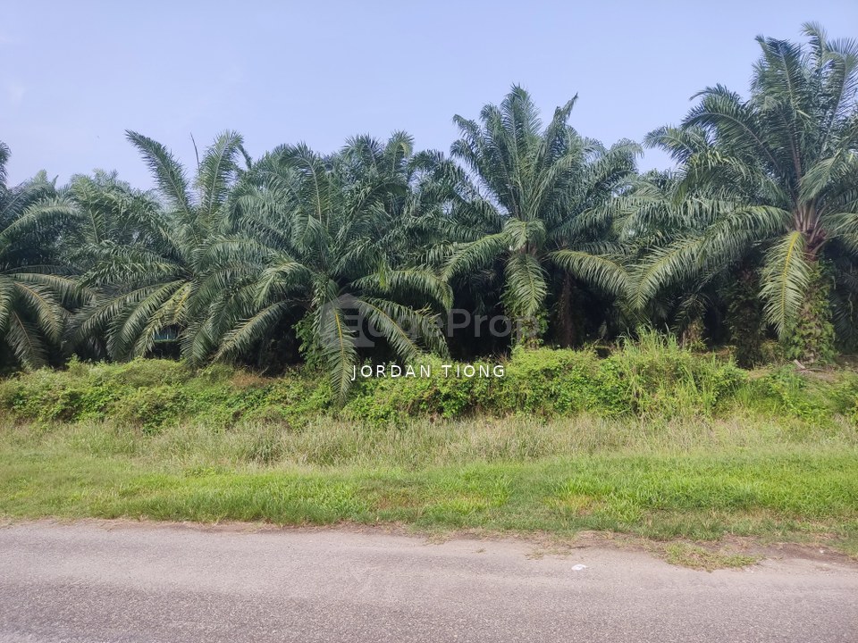 Kapar