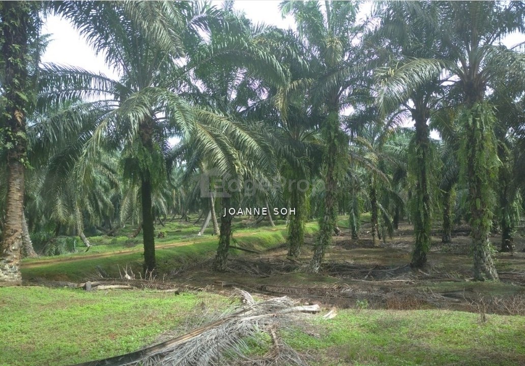 Agriculture Land @ Taiping